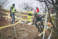 Foto auf 30.03.2025 - Langenlois/Zöbing