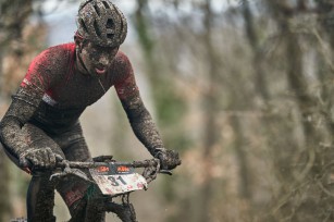 Foto auf 30.03.2025 - Langenlois/Zöbing