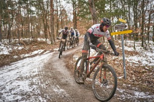 Foto auf 30.03.2025 - Langenlois/Zöbing